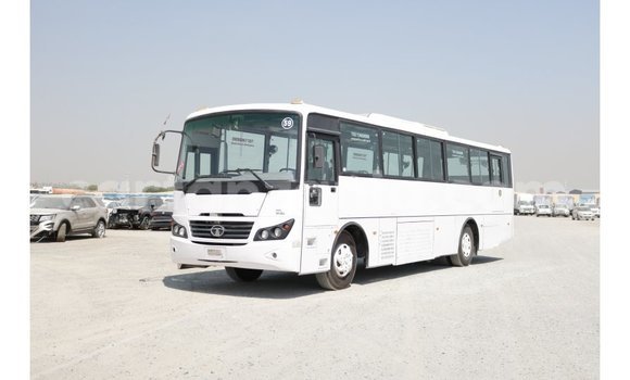 Buy Import Tata Telcoline White Car in Import - Dubai in Arusha