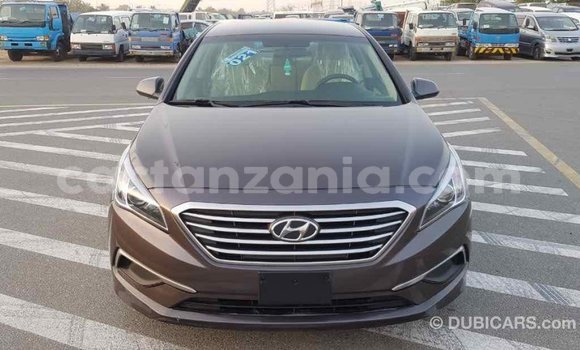 Buy Import Hyundai Sonata Brown Car in Import - Dubai in Arusha Buy Import Hyundai Sonata Brown Car in Import - Dubai in Arusha