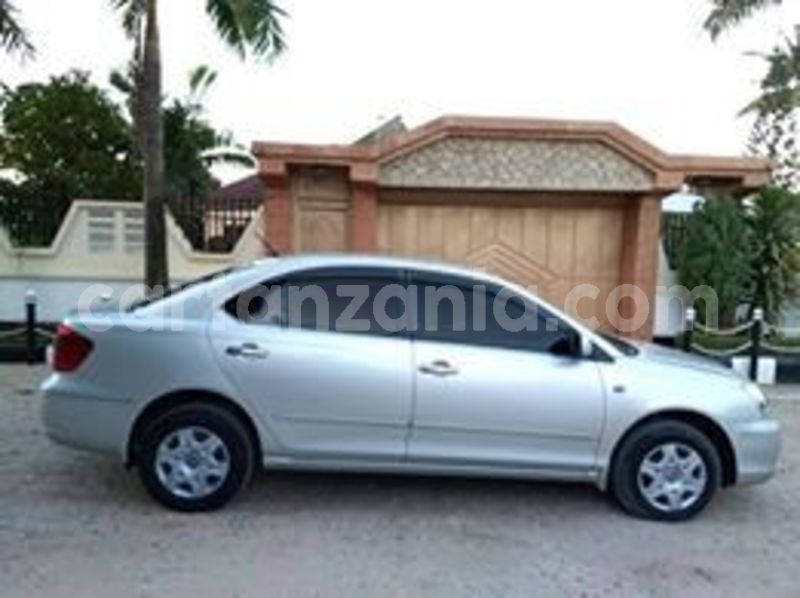 Big with watermark 66504948 2313264445429639 7494006289798791168 n