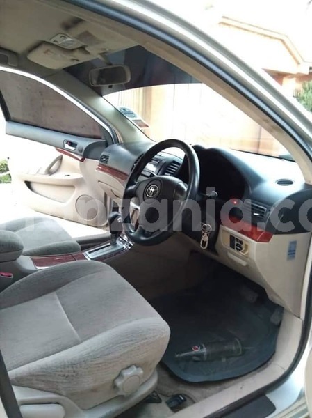 Big with watermark 66746586 2313255708763846 5635933953568276480 n