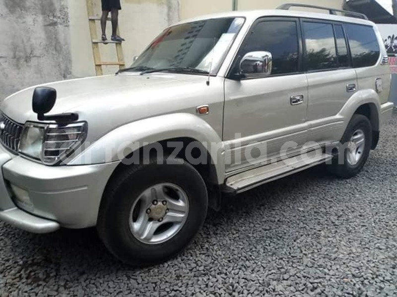 Big with watermark 66599219 2313249575431126 8914842043239366656 n