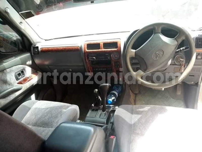 Big with watermark 66846282 2313249505431133 8003848607532843008 n