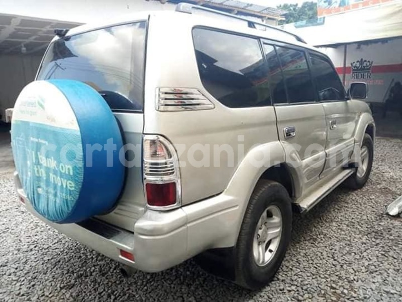 Big with watermark 67165046 2313249478764469 6415168890829012992 n