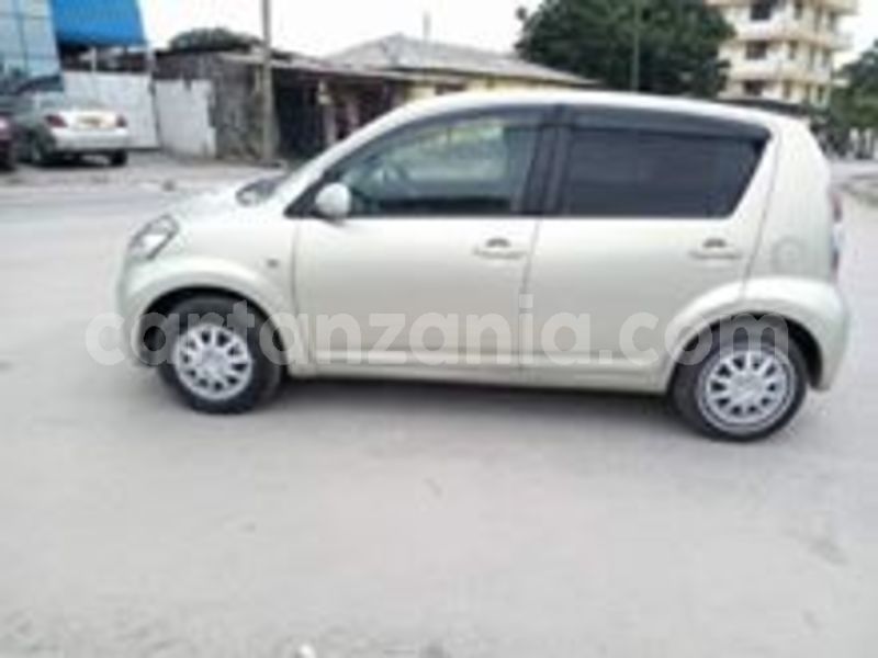 Big with watermark 66505969 2309021132520637 947030569257009152 n