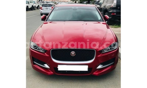 Buy Import Jaguar XE Red Car in Import - Dubai in Arusha