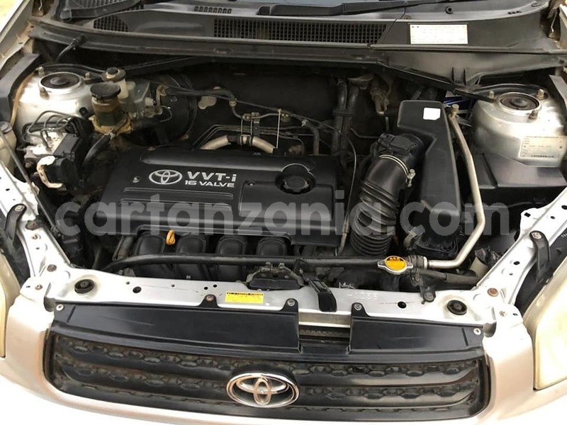 Big with watermark 67403634 226073278355204 4920736050977964032 n