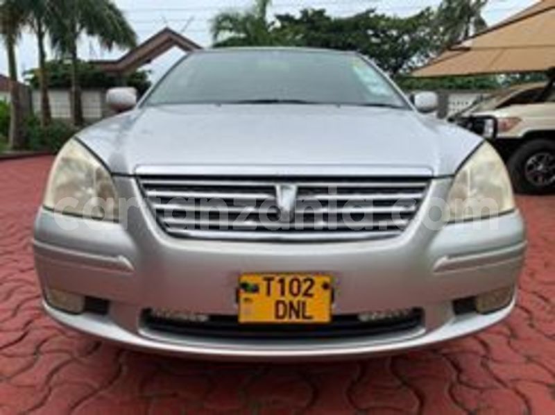 Big with watermark 67349134 224801845149014 7887106452920205312 n