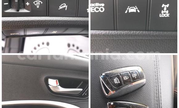 Buy Used Hyundai Santa Fe Black Car in Arusha in Arusha Buy Used Hyundai Santa Fe Black Car in Arusha in Arusha