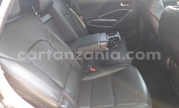 Buy Used Hyundai Santa Fe Black Car in Arusha in Arusha Buy Used Hyundai Santa Fe Black Car in Arusha in Arusha
