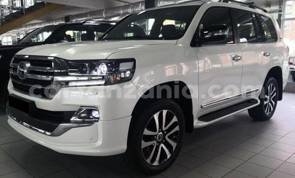 Buy Used Toyota Land Cruiser White Car in Arusha in Arusha Buy Used Toyota Land Cruiser White Car in Arusha in Arusha