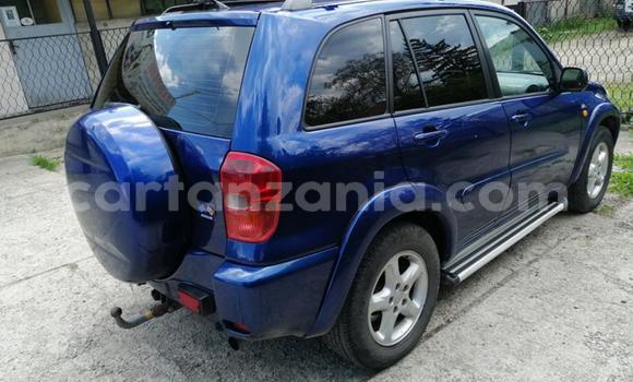 Buy Used Toyota RAV4 Blue Car in Arusha in Arusha Buy Used Toyota RAV4 Blue Car in Arusha in Arusha