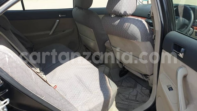 Big with watermark 67613516 163878278087835 3823937124546117632 n