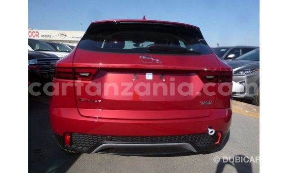 Buy Import Jaguar E-Pace Red Car in Import - Dubai in Arusha Buy Import Jaguar E-Pace Red Car in Import - Dubai in Arusha