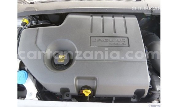 Nunua Imported Jaguar E-Pace Nyeupe Gari ndani ya Import - Dubai nchini Arusha Nunua Imported Jaguar E-Pace Nyeupe Gari ndani ya Import - Dubai nchini Arusha