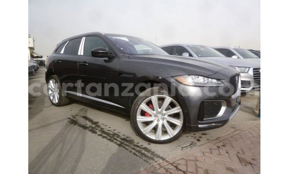 Buy Import Jaguar F-Type Black Car in Import - Dubai in Arusha