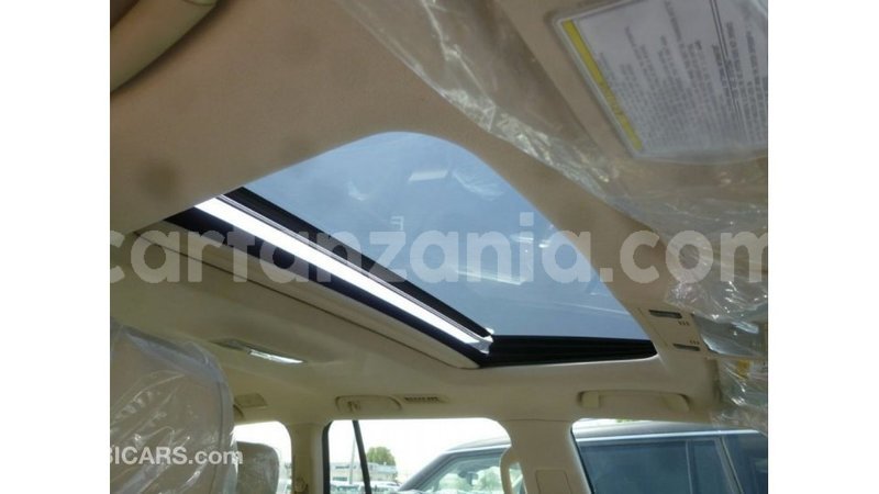 Big with watermark 1ba66a1e 1edf 450a 954e 79c1396252fd