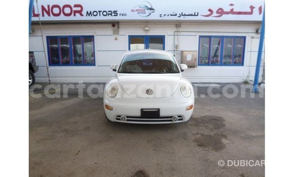 Nunua Imported Volkswagen Beetle Nyeupe Gari ndani ya Import - Dubai nchini Arusha Nunua Imported Volkswagen Beetle Nyeupe Gari ndani ya Import - Dubai nchini Arusha