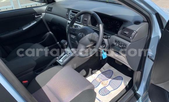 Nunua Ilio tumika Toyota Corolla Nyingine Gari ndani ya Dar es Salaam nchini Dar es Salaam Nunua Ilio tumika Toyota Corolla Nyingine Gari ndani ya Dar es Salaam nchini Dar es Salaam