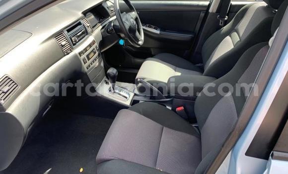 Nunua Ilio tumika Toyota Corolla Nyingine Gari ndani ya Dar es Salaam nchini Dar es Salaam Nunua Ilio tumika Toyota Corolla Nyingine Gari ndani ya Dar es Salaam nchini Dar es Salaam