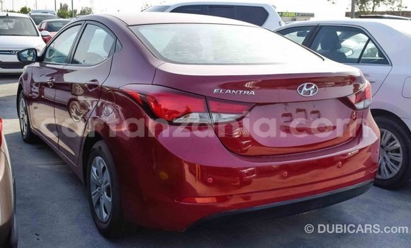Buy Import Hyundai Elantra Red Car in Import - Dubai in Arusha Buy Import Hyundai Elantra Red Car in Import - Dubai in Arusha