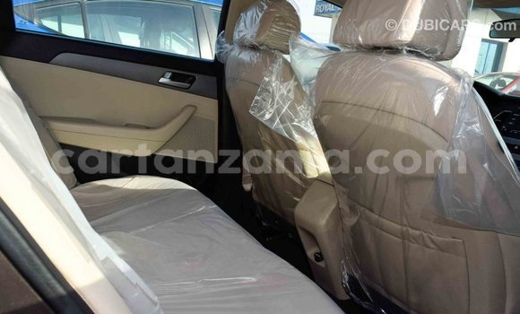 Nunua Imported Hyundai Sonata Brown Gari ndani ya Import - Dubai nchini Arusha Nunua Imported Hyundai Sonata Brown Gari ndani ya Import - Dubai nchini Arusha