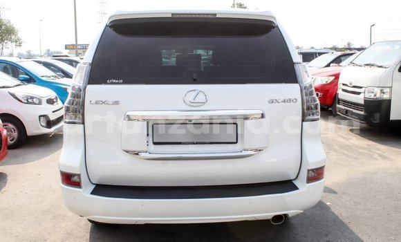 Nunua Imported Lexus GX Nyeupe Gari ndani ya Import - Dubai nchini Arusha Nunua Imported Lexus GX Nyeupe Gari ndani ya Import - Dubai nchini Arusha