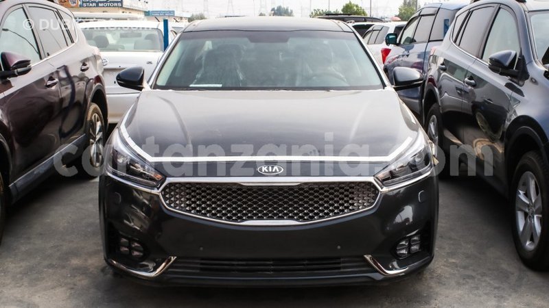 Big with watermark kia cadenza arusha import dubai 7335