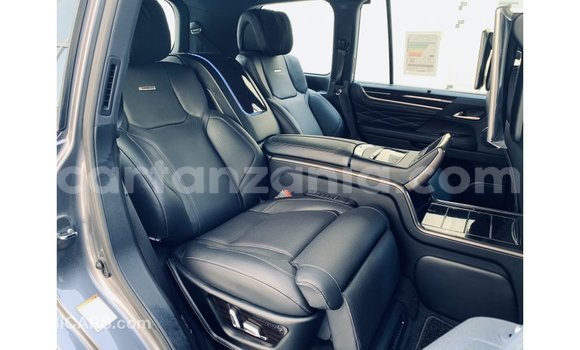Buy Import Lexus LX Other Car in Import - Dubai in Arusha Buy Import Lexus LX Other Car in Import - Dubai in Arusha