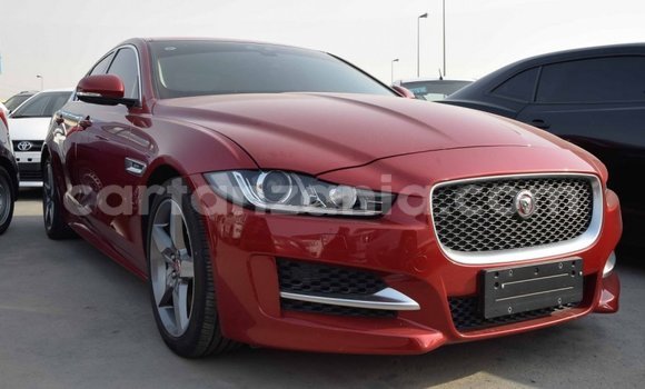 Buy Import Jaguar XE Red Car in Import - Dubai in Arusha