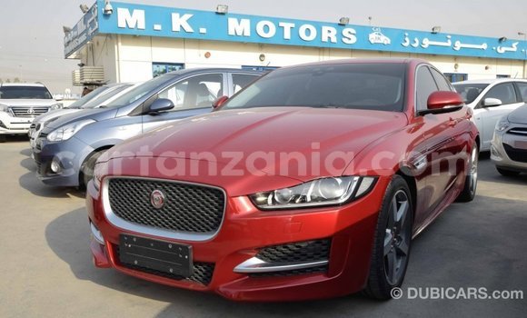Buy Import Jaguar XE Red Car in Import - Dubai in Arusha Buy Import Jaguar XE Red Car in Import - Dubai in Arusha