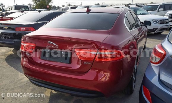 Buy Import Jaguar XE Red Car in Import - Dubai in Arusha Buy Import Jaguar XE Red Car in Import - Dubai in Arusha