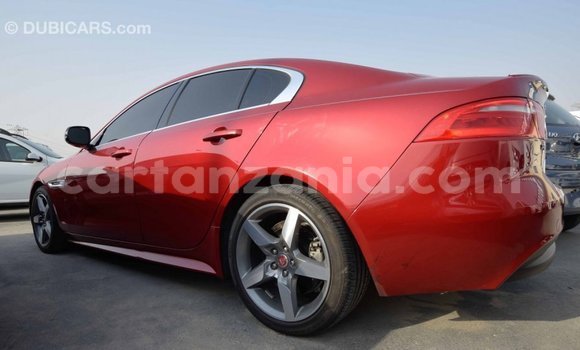 Buy Import Jaguar XE Red Car in Import - Dubai in Arusha Buy Import Jaguar XE Red Car in Import - Dubai in Arusha