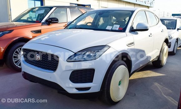 Nunua Imported Jaguar E-Pace Nyeupe Gari ndani ya Import - Dubai nchini Arusha Nunua Imported Jaguar E-Pace Nyeupe Gari ndani ya Import - Dubai nchini Arusha