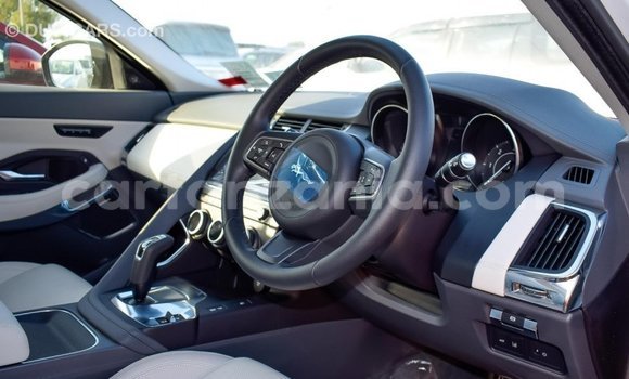 Nunua Imported Jaguar E-Pace Nyeupe Gari ndani ya Import - Dubai nchini Arusha Nunua Imported Jaguar E-Pace Nyeupe Gari ndani ya Import - Dubai nchini Arusha