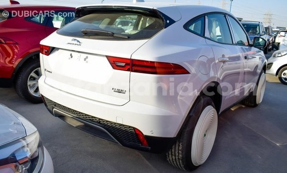 Nunua Imported Jaguar E-Pace Nyeupe Gari ndani ya Import - Dubai nchini Arusha Nunua Imported Jaguar E-Pace Nyeupe Gari ndani ya Import - Dubai nchini Arusha
