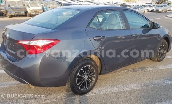 Nunua Imported Toyota Corolla Nyingine Gari ndani ya Import - Dubai nchini Arusha Nunua Imported Toyota Corolla Nyingine Gari ndani ya Import - Dubai nchini Arusha