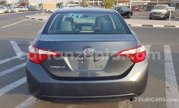 Nunua Imported Toyota Corolla Nyingine Gari ndani ya Import - Dubai nchini Arusha Nunua Imported Toyota Corolla Nyingine Gari ndani ya Import - Dubai nchini Arusha