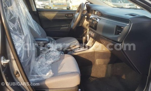 Nunua Imported Toyota Corolla Nyingine Gari ndani ya Import - Dubai nchini Arusha Nunua Imported Toyota Corolla Nyingine Gari ndani ya Import - Dubai nchini Arusha
