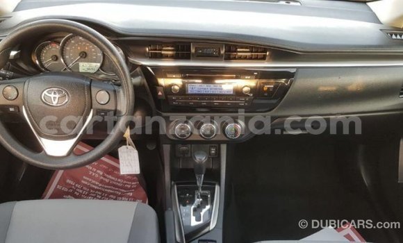 Nunua Imported Toyota Corolla Nyingine Gari ndani ya Import - Dubai nchini Arusha Nunua Imported Toyota Corolla Nyingine Gari ndani ya Import - Dubai nchini Arusha