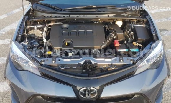 Nunua Imported Toyota Corolla Nyingine Gari ndani ya Import - Dubai nchini Arusha Nunua Imported Toyota Corolla Nyingine Gari ndani ya Import - Dubai nchini Arusha