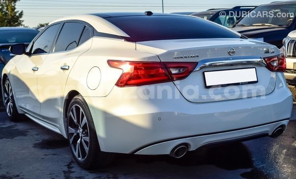 Buy Import Nissan Maxima White Car in Import - Dubai in Arusha Buy Import Nissan Maxima White Car in Import - Dubai in Arusha