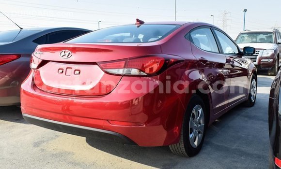 Buy Import Hyundai Elantra Red Car in Import - Dubai in Arusha Buy Import Hyundai Elantra Red Car in Import - Dubai in Arusha