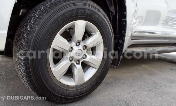 Buy Import Toyota Prado Other Car in Import - Dubai in Arusha Buy Import Toyota Prado Other Car in Import - Dubai in Arusha