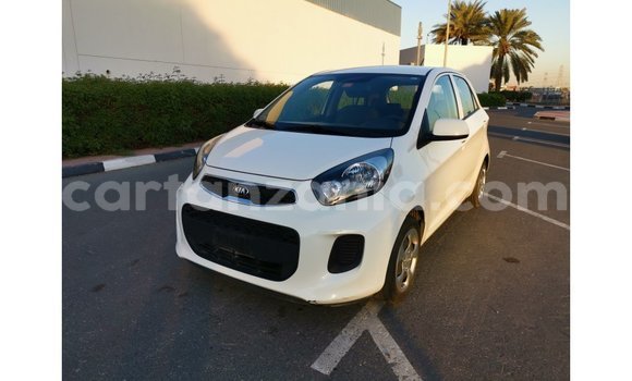 Nunua Imported Kia Picanto Nyeupe Gari ndani ya Import - Dubai nchini Arusha Nunua Imported Kia Picanto Nyeupe Gari ndani ya Import - Dubai nchini Arusha