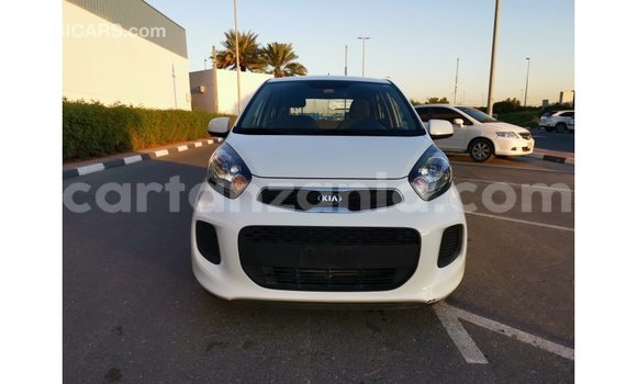 Nunua Imported Kia Picanto Nyeupe Gari ndani ya Import - Dubai nchini Arusha Nunua Imported Kia Picanto Nyeupe Gari ndani ya Import - Dubai nchini Arusha