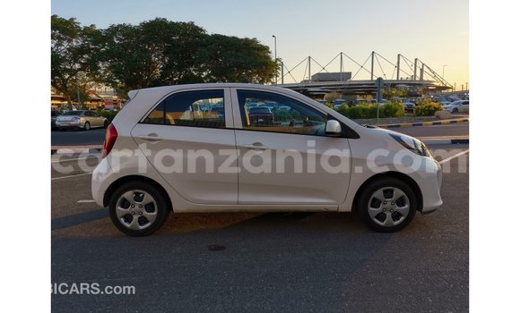 Nunua Imported Kia Picanto Nyeupe Gari ndani ya Import - Dubai nchini Arusha Nunua Imported Kia Picanto Nyeupe Gari ndani ya Import - Dubai nchini Arusha
