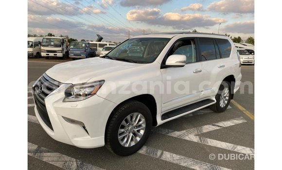 Buy Import Lexus GX White Car in Import - Dubai in Arusha Buy Import Lexus GX White Car in Import - Dubai in Arusha