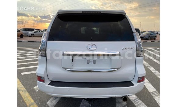 Buy Import Lexus GX White Car in Import - Dubai in Arusha Buy Import Lexus GX White Car in Import - Dubai in Arusha