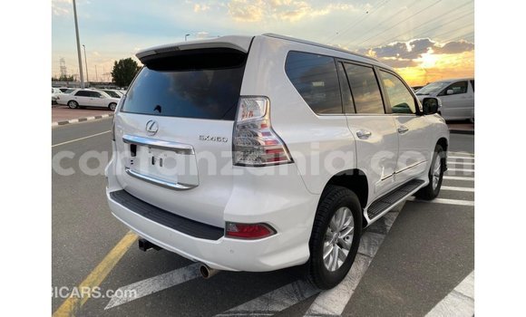Buy Import Lexus GX White Car in Import - Dubai in Arusha Buy Import Lexus GX White Car in Import - Dubai in Arusha