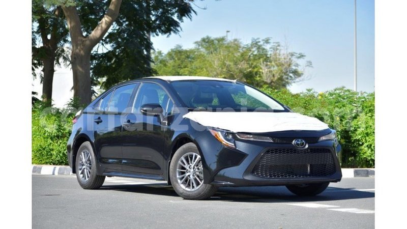 Big with watermark toyota corolla arusha import dubai 7859